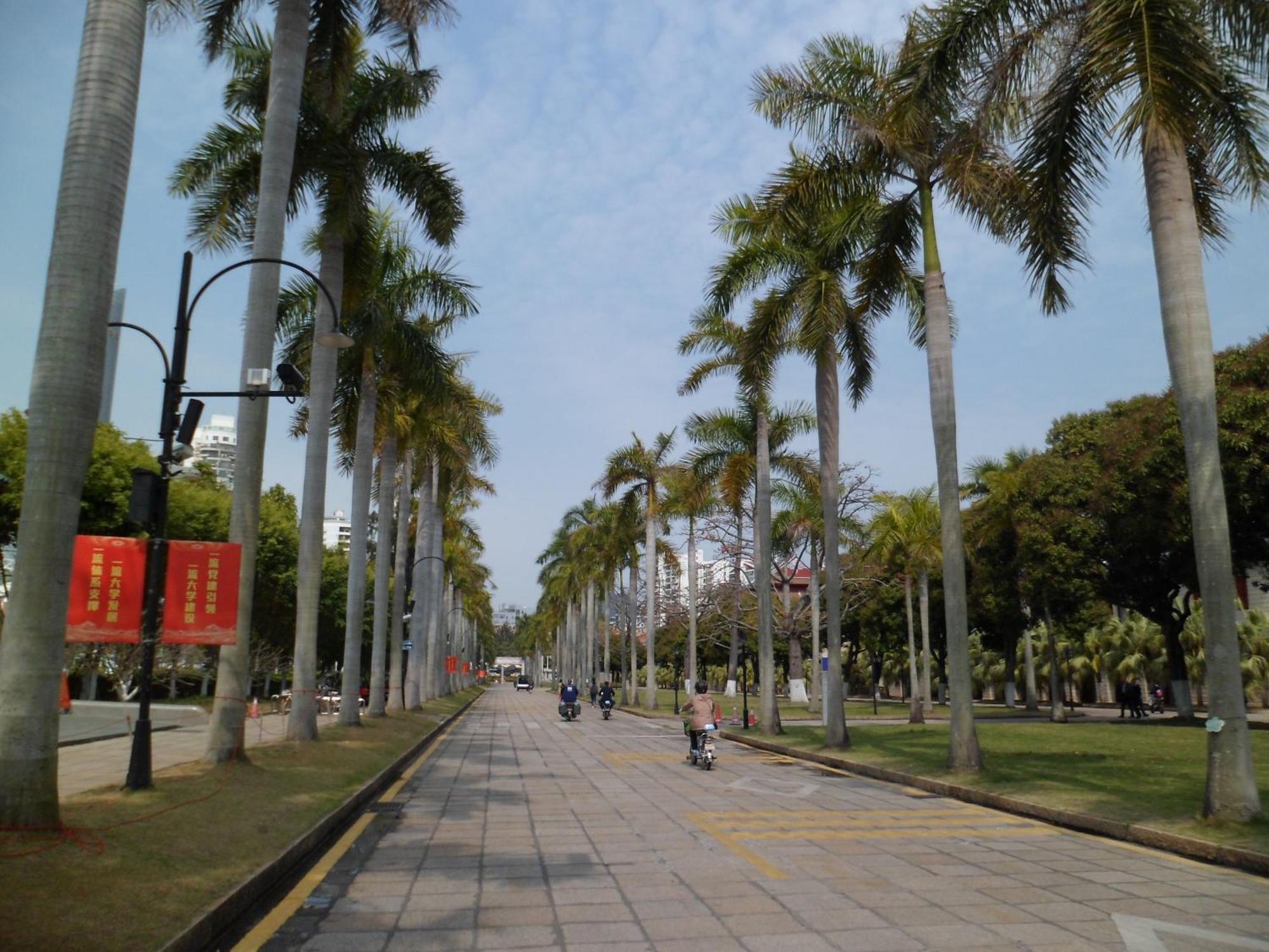 Xiamen-free Welcome Fruits
