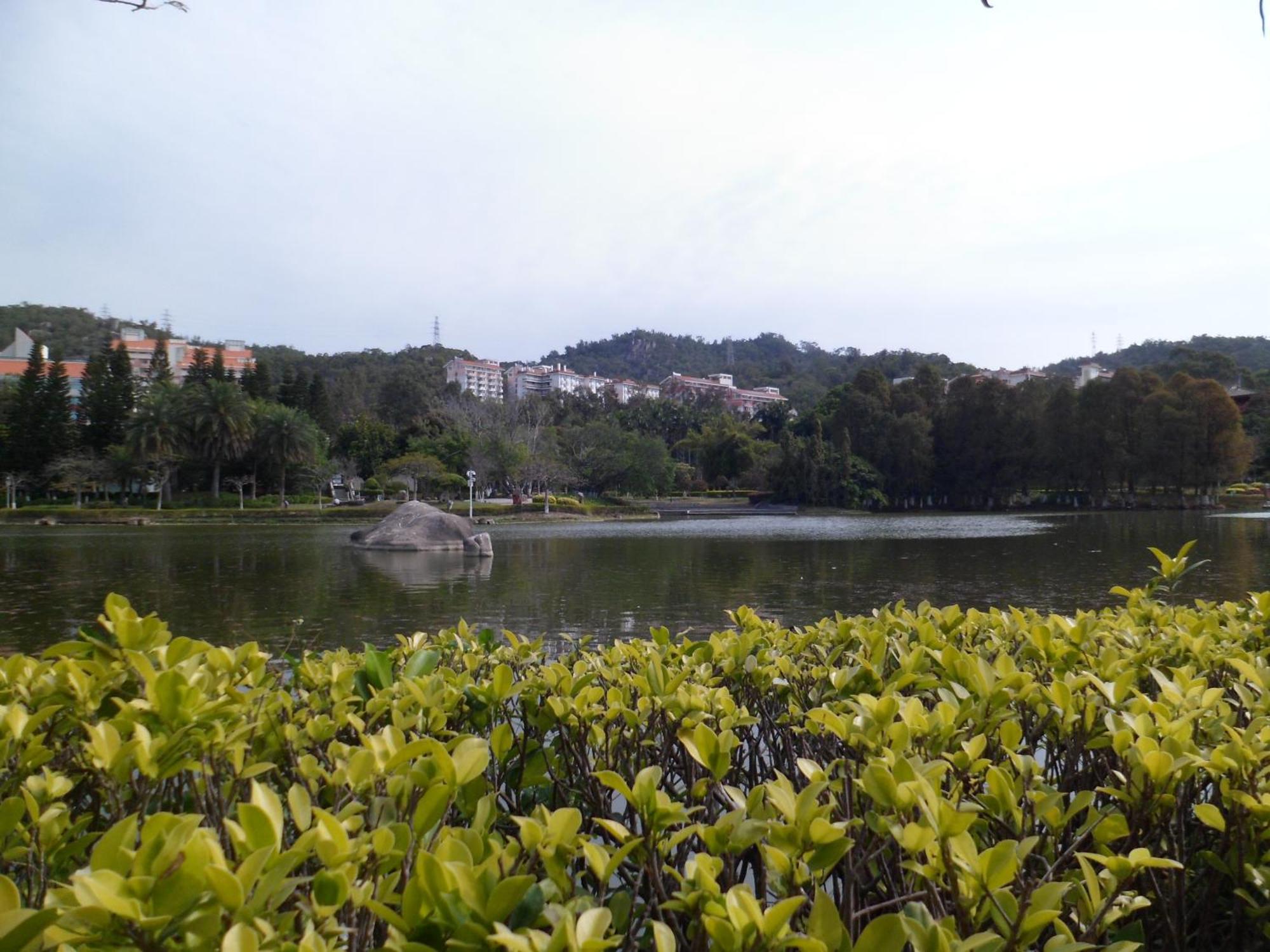 Xiamen-free Welcome Fruits